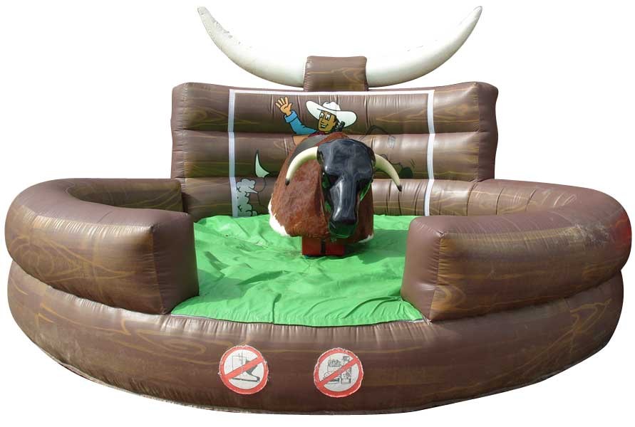 Rodeo Bull